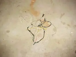 no_wiring.webp