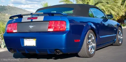 steeda mustang (3 of 10).webp