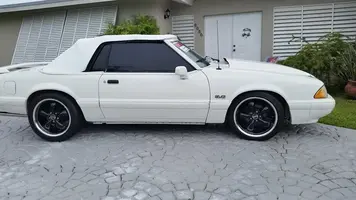 stang1.webp