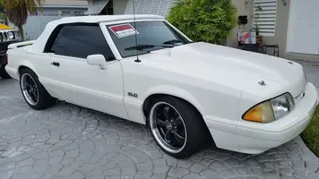stang5.webp