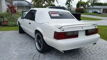 stang6.webp