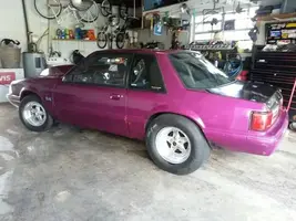 purple1.webp