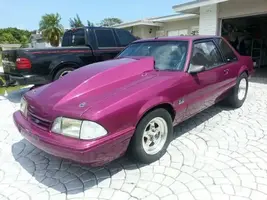 purple2.webp