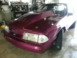 purple6.webp
