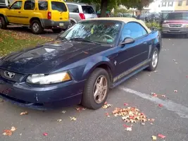 mustang.webp