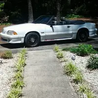 gt mustang.webp