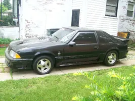 mustang5.0 008.webp