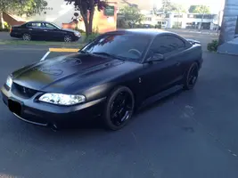 cobra5.webp