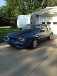 Mustang.webp