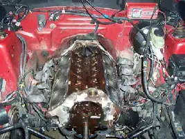 100_3142a.webp