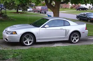 Cobra_in_Driveway.webp