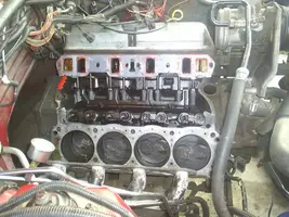 S3010269.webp