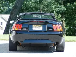 rear.webp