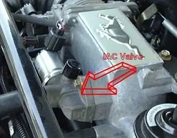 iac.webp