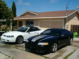 stangs3.webp