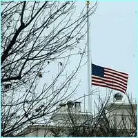 _38767921_shuttle9.webp