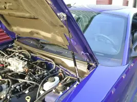 hoodstruts1.webp