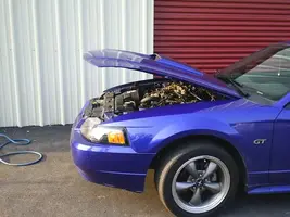 hoodstruts3.webp