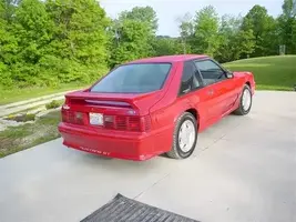 Stang_002.webp