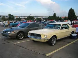 stang_show_03.webp