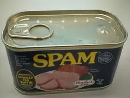 spam.webp
