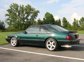 1Stang.webp
