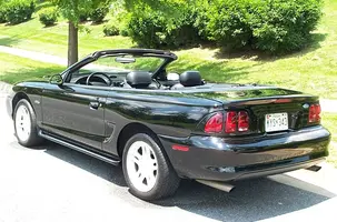 wingless.webp