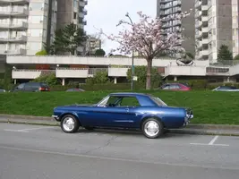 115_1502.webp
