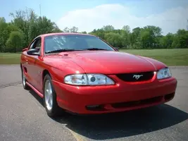mustang10.webp