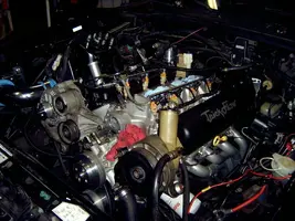 SV400037.webp