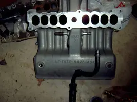 SV400042.webp
