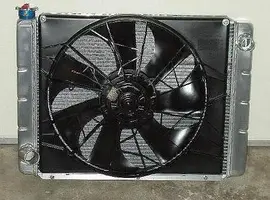 fan8.webp