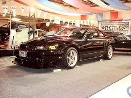 speedorama1.webp