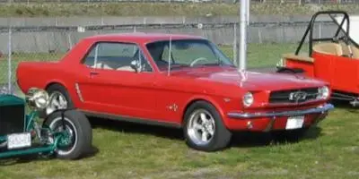 Mustang%201.webp