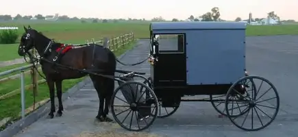 Horse&Buggy%20sm.webp