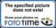 standard?pictid={EE7A8EAD-7126-4E2E-986D-99D5C8792E42}