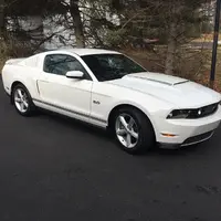 mustang 1.webp