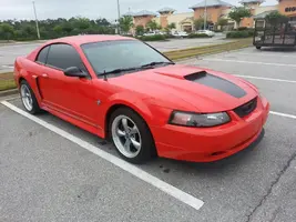 Mustang in work log.webp