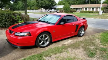Mustang.webp