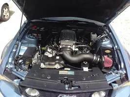 10389223_10202245315598762_4726818838835994334_n.webp