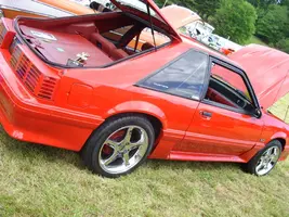 SS850567.webp