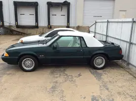 mustang 1.webp