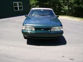 mustang 010.webp
