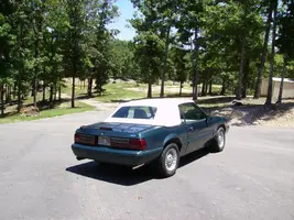 mustang 008.webp