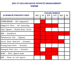 FMEM_Strat.webp