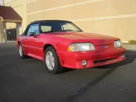 mustang front.webp