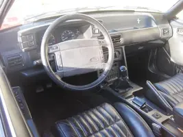mustang in.webp