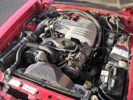 mustang motor.webp