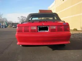 mustang back.webp