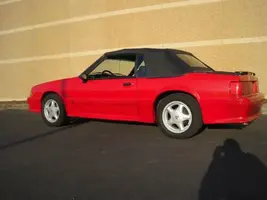 mustang d-side.webp